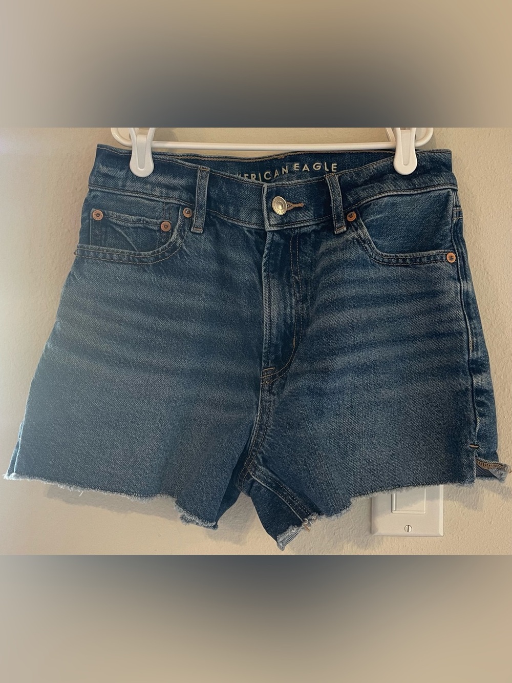 American Eagle Outfitters Relaxed Short - 2